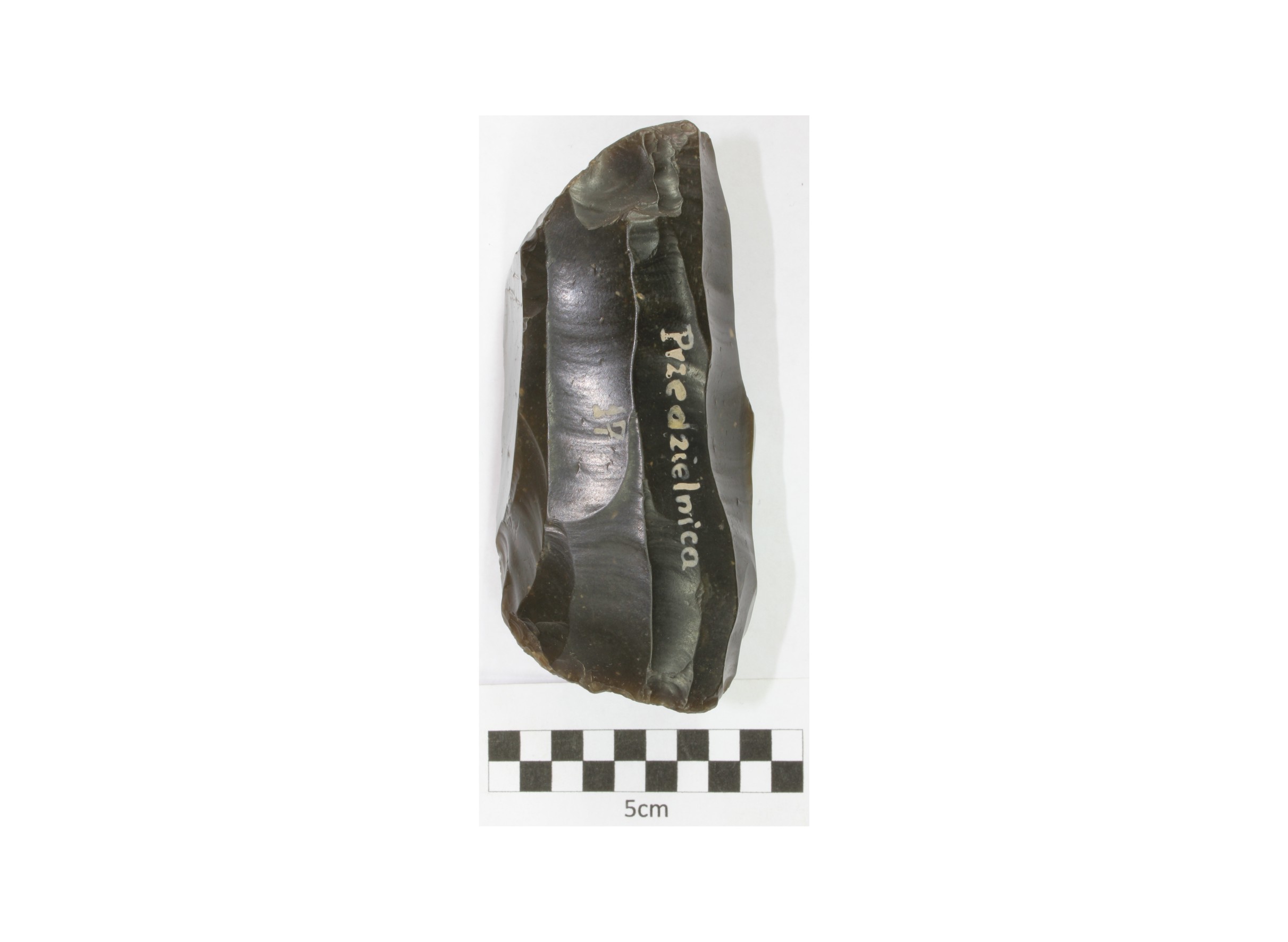 A stone fragment of a flint tool with a smooth surface and sharp edges.