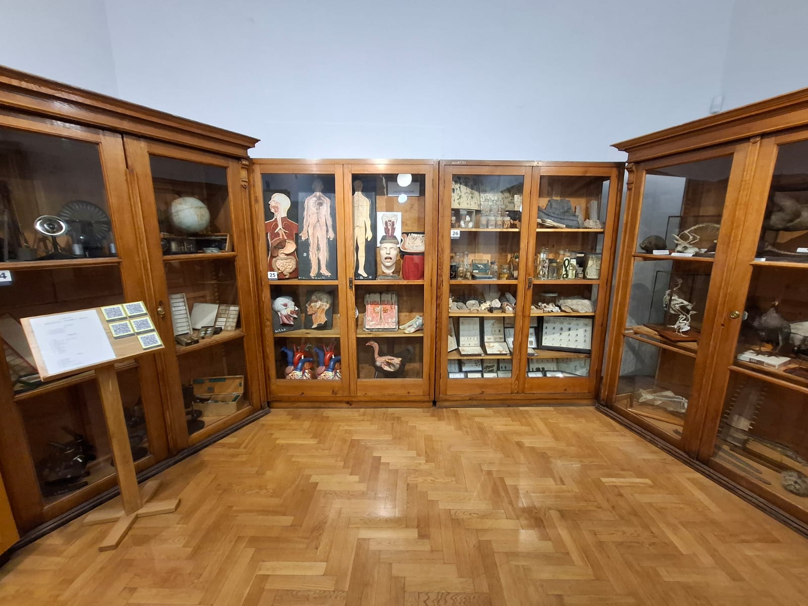A museum hall with wooden display cases filled with old teaching aids, anatomical models and natural science exhibits.